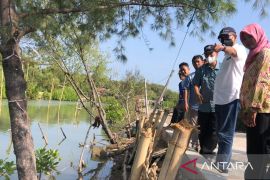 FABA PLN Perkuat Konstruksi Jalan dan Tanggul Penangkal Banjir Rob di Demak Jateng
