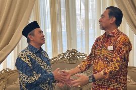 Gubernur Syamsuar tawarkan investor Mesir berinvestasi di Riau