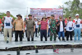 Kalteng laksanakan 'Gertam Babe Berkah' kendalikan inflasi