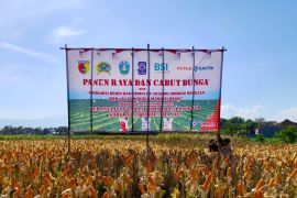 PKT hadirkan produk unggulan sukseskan Ponorogo Mandiri Benih