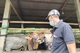 Epidemiolog: Konsep One Health jadi langkah pengendalian penyakit