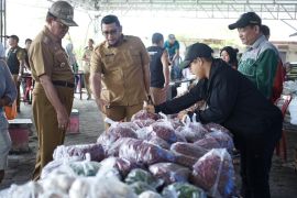 Tinjau pasar murah, Bupati Inhil harapkan tepat sasaran