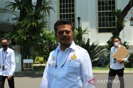 Pemerintah matangkan dua strategi gencarkan petani untuk menanam kedelai