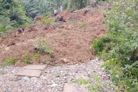 Dua truk bermuatan sawit terjebak longsor