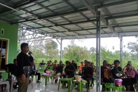 Universitas Muhammadiyah-BKSDA Sumsel  bentuk tim penggiring gajah liar
