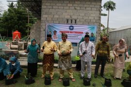 Penuhi kebutuhan masyarakat, Pemprov Kepri perluas lahan tanaman cabai hingga 227 hektar