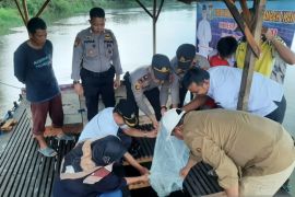 Antisipasi judi online, 5.000 bibit ikan lomak ditabur di keramba Desa Pulau Permai