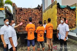 Polda Kalsel sita ratusan kayu ulin hasil pembalakan liar di kawasan Tanah Laut