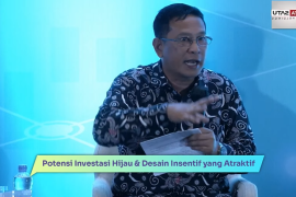 Govt to provide incentives to support green investment growth