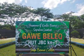 Ratusan pohon bonsai dipamerkan di Lombok Tengah