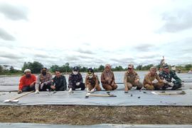 Singkawang menggencarkan penanaman cabai cegah inflasi