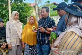 Miliki Salak dan Alpokat lokal, Sabang berpotensi kembangkan agrowisata