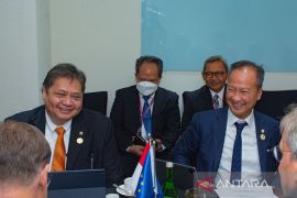 Indonesia committed to promoting green industries: minister