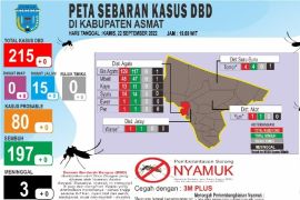 Kemenkes membantu Dinkes Asmat alat diagnosis DBD