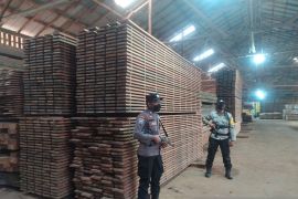 Mabes Polri tetapkan tersangka pemilik 1.050 meter kubik kayu olahan ilegal