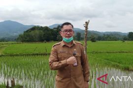 Pemprov Kalbar gelorakan semangat bertani jaga kedaulatan pangan