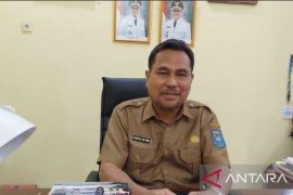 Pemkab Bangka Tengah siapkan sentra benih udang vaname