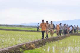 Bulog : Sulsel hingga September 2022 telah pasok beras 120 ribu ton untuk Indonesia