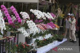 Pameran angrek di Batu
