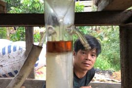 Penyulingan gaharu, harapan baru masyarakat Long Nyau