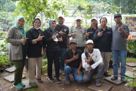 Kementerian Pertanian mendukung pengembangan hulu-hilir anggur tingkat komunitas