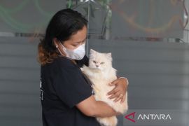 Peringatan Hari Rabies Sedunia di Malang