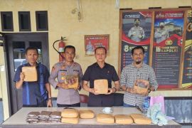 Jasa pengiriman barang di Mutiara gagalkan sepuluh paket ganja