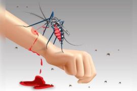 Dinkes Kota Medan imbau warga waspadai penyebaran DBD