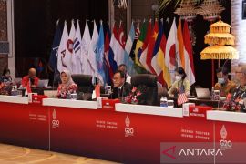Drafting Sustainable Finance Report focus of 4th SFWG meeting