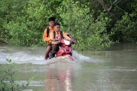 Banjir ROB Di Rokan Hilir Page 1 Small