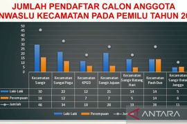 Bawaslu Solok Selatan temukan 14 pendaftar calon Panwascam dicatut parpol
