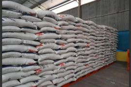 Bulog Tanah Grogot gencarkan operasi pasar jelang akhir tahun