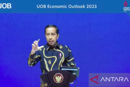 Indonesia clocked highest economic growth among G20 members: Jokowi