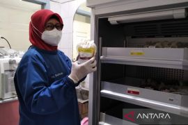 PMI Kabupaten Kudus punya stok darah 799 kantong