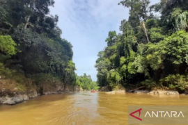 Hutan Adat Serampas jadi bagian penilaian Tim UNESCO UGG-Geopark Merangin