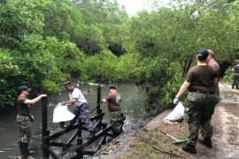 Prajurit TNI- tentara  Amerika kumpulkan 100 karung sampah di kawasan mangrove Tahura