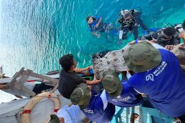 PJM Pelindo menggairahkan sektor pariwisata lewat Program Bakti BUMN