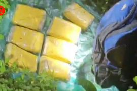 Anjing polisi temukan 23 kg metamfetamin di provinsi perbatasan China