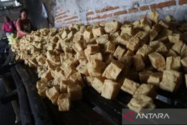 Dampak kenaikan harga kedelai