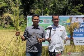Pesisir Selatan siapkan Rp800 juta APBD-P benahi irigasi