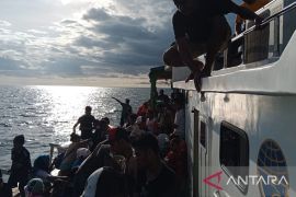 Tim SAR evakuasi 98 penumpang kapal terbakar di Laut Aru Maluku, begini kronologinya