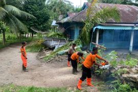 BPBD Agam bersihkan  rumah warga yang tertimpa pohon