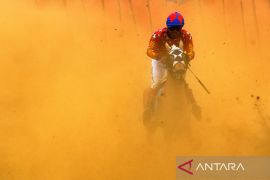 Aksi joki pacuan kuda tradisional di Sumedang