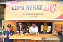 Bupati Tapsel tinjau home industry