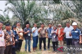 PT SJML jadi sorotan Komisi III DPRD Inhu