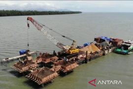 PLN pastikan pembangunan SUTT di selat Kalsel ramah lingkungan
