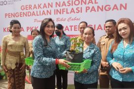PKK Gianyar bagikan 3.000 bibit cabai tekan inflasi