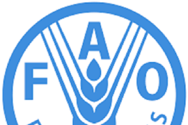 Asia-Pacific nations must conduct transformation of agrifood systems