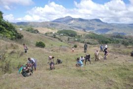 Satuan Tugas Pengamanan Perbatasan RI-Timor Leste tanam 1.000 bibit pohon cegah longsor