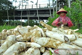 Terobosan cerdas mendiversifikasi pangan lokal